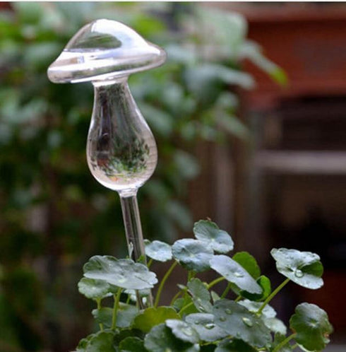 Self Watering Bulbs (Set of 2)